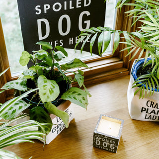 Dog 8 oz - 100% Soy Wax Candle Scent: Serenity