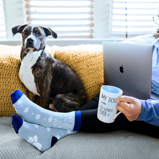 Dog S/M Unisex Cotton Blend Sock