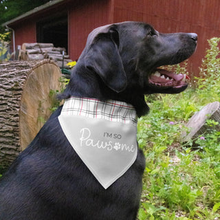 I'm So Pawsome 7" x 5" Canvas Slip on Pet Bandana