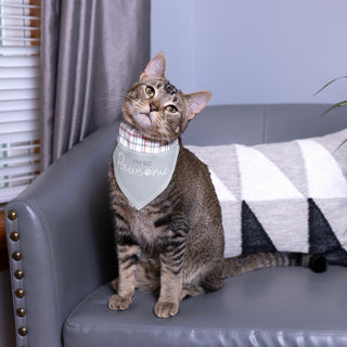 I'm So Pawsome 7" x 5" Canvas Slip on Pet Bandana