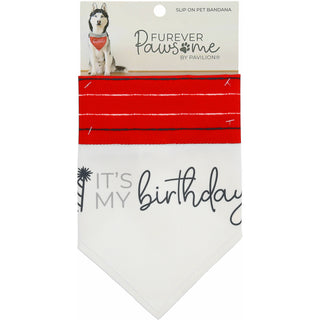 It's My Birthday 12" x 8" Canvas Slip on Pet Bandana