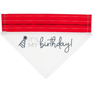 It's My Birthday 7" x 5" Canvas Slip on Pet Bandana