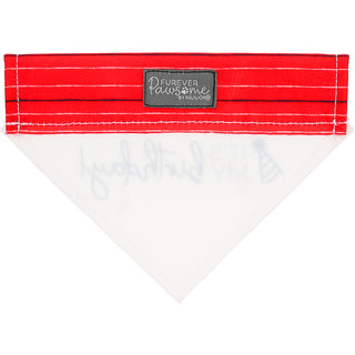 It's My Birthday 7" x 5" Canvas Slip on Pet Bandana
