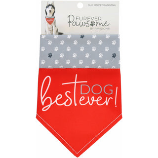 Best Dog Ever 7" x 5" Canvas Slip on Pet Bandana