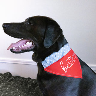 Best Dog Ever 7" x 5" Canvas Slip on Pet Bandana