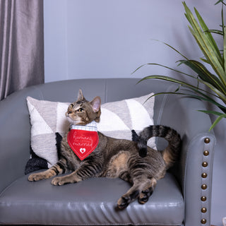 Humans Getting Married 7" x 5" Canvas Slip on Pet Bandana