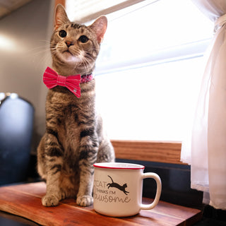 Red Striped 3" x 1.75" Canvas Pet Bow Tie