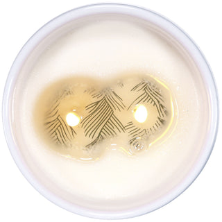 Camp 14 oz - 100% Soy Wax Reveal Candle Scent: Balsam Fir