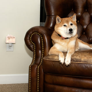 Spoiled Dog 3.5" Ceramic Night Light