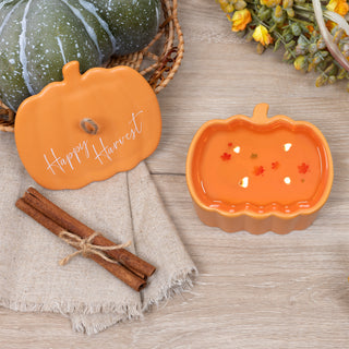 Harvest 7 oz - 100% Soy Wax Reveal Candle Scent: Pumpkin Pie