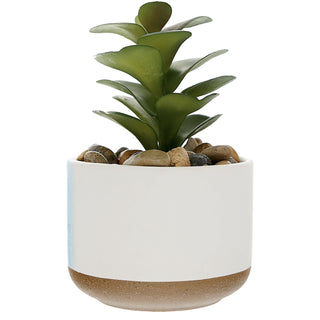 Loved 5" Artificial Potted Plant