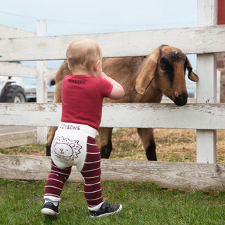 Lion Baby Leggings