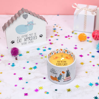 Purrfect Birthday 8 oz 100% Soy Wax Reveal, Single Wick Candle
Scent: Tranquility