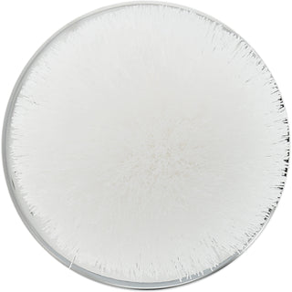 White 2.75" Pom Pom Lid