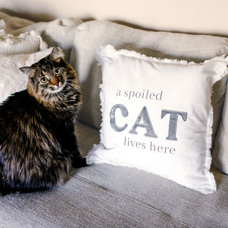 Spoiled Cat 18" Throw Pillow Cover