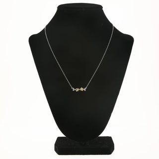 Pawprints 16.5"-18.5" Pet Memorial Necklace