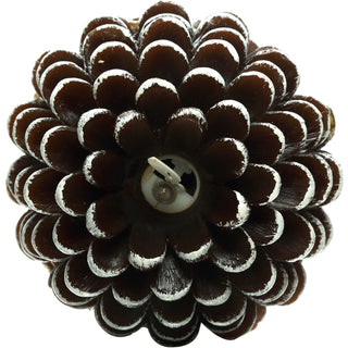 Brown Pine Cone 5" Realistic Flame LED Lit Candle