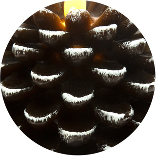 Brown Pine Cone 5" Realistic Flame LED Lit Candle